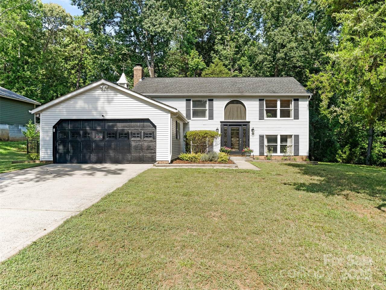 9324 Rainbow Forest Drive - Photo 1