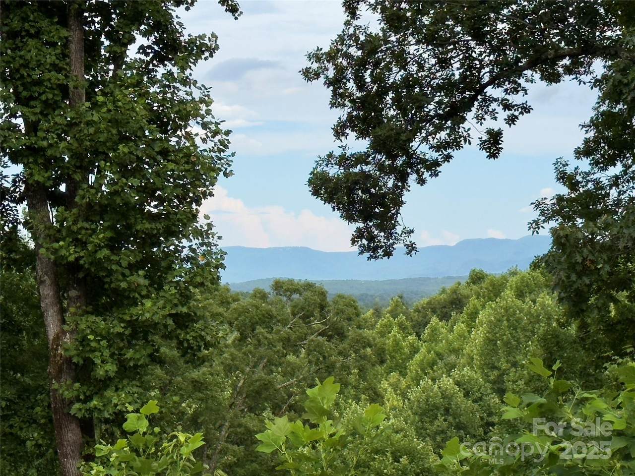 V/L Black Lark Drive - Photo 1