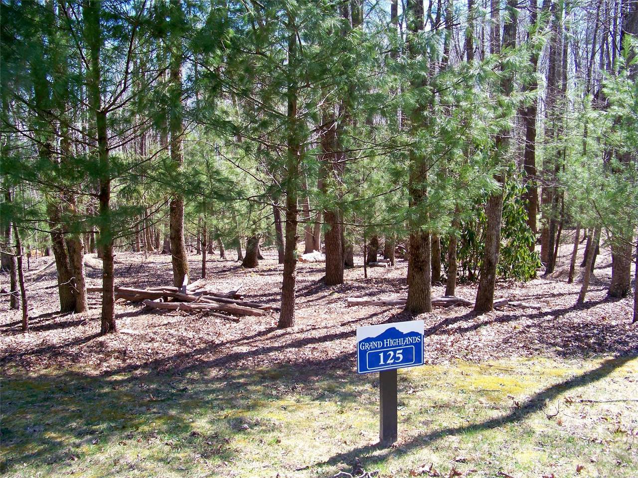 125 Thunder Mountain Road - Photo 1