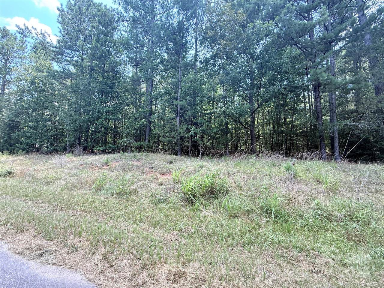4.7 Acres Blade Run Road - Photo 1