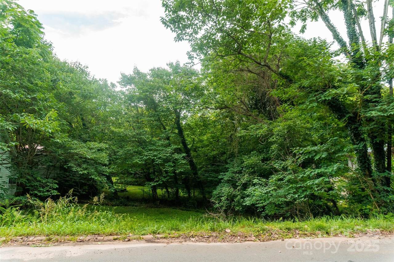 1010 Morgan Street - Photo 1