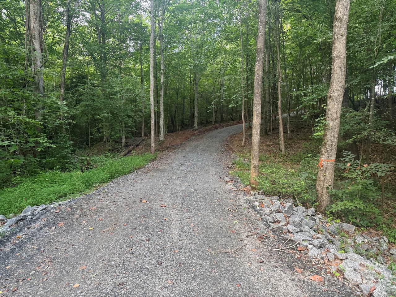 00 Coxe Road - Photo 1