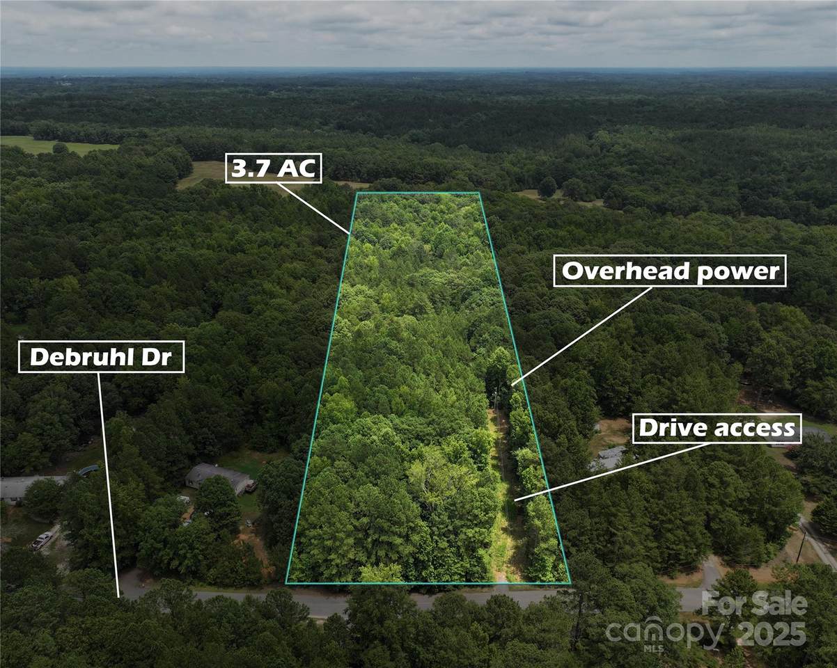 3.7 AC Debruhl Road - Photo 1