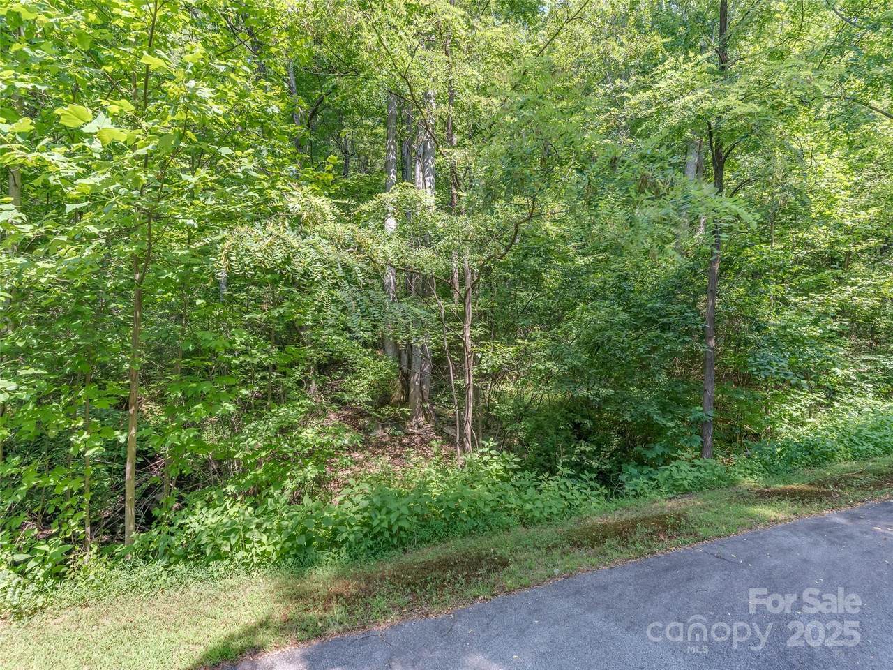 Lot 231 Chesterfield Drive - Photo 1