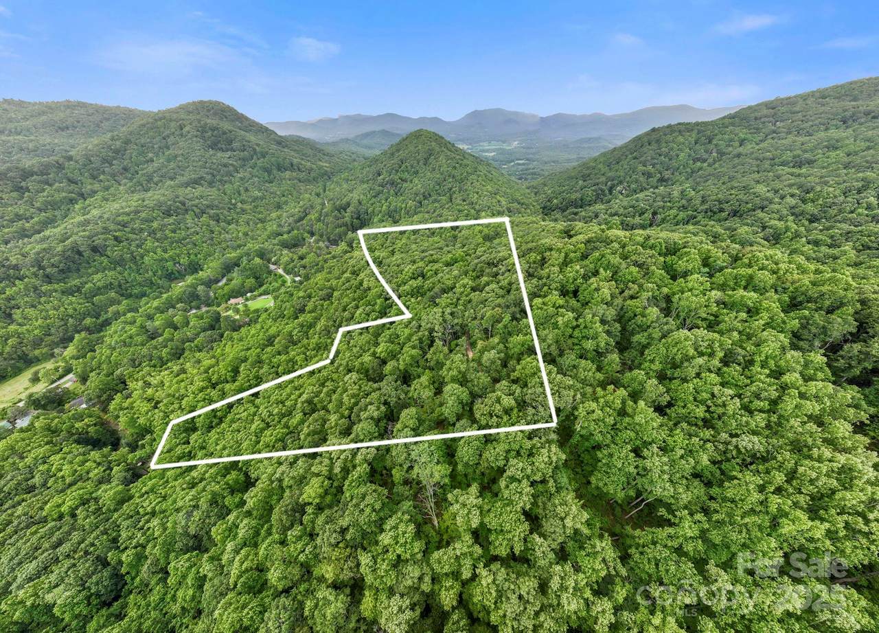 99999 Little Pisgah Road - Photo 1