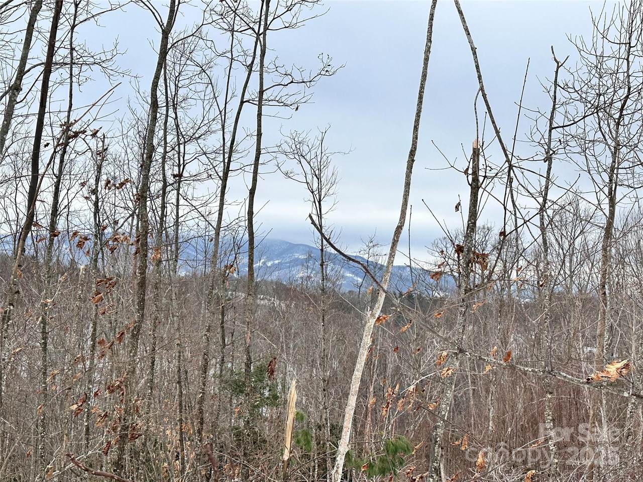 0000 Lot 78 Black Bear Crossing - Photo 1