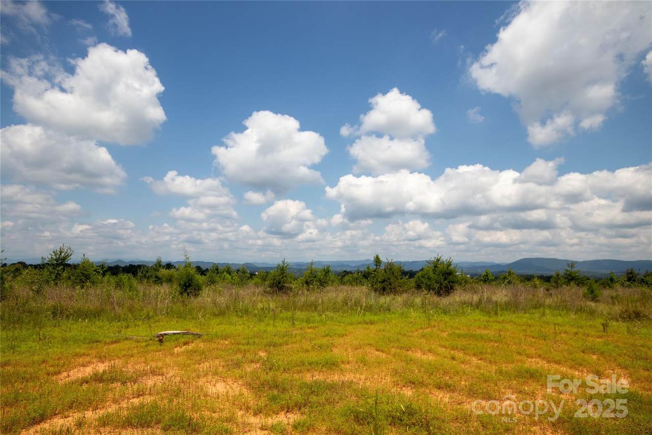 TBD Hickory Boulevard - Photo 1