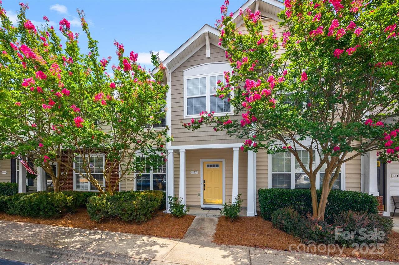 1107 Sienna Sand Way - Photo 1