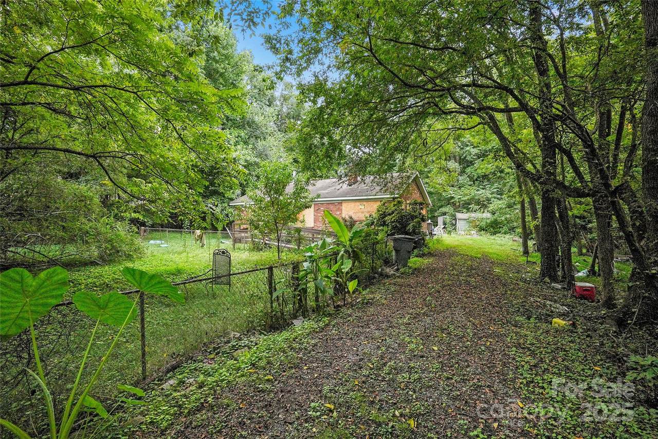 6109 Paw Creek Road - Photo 1