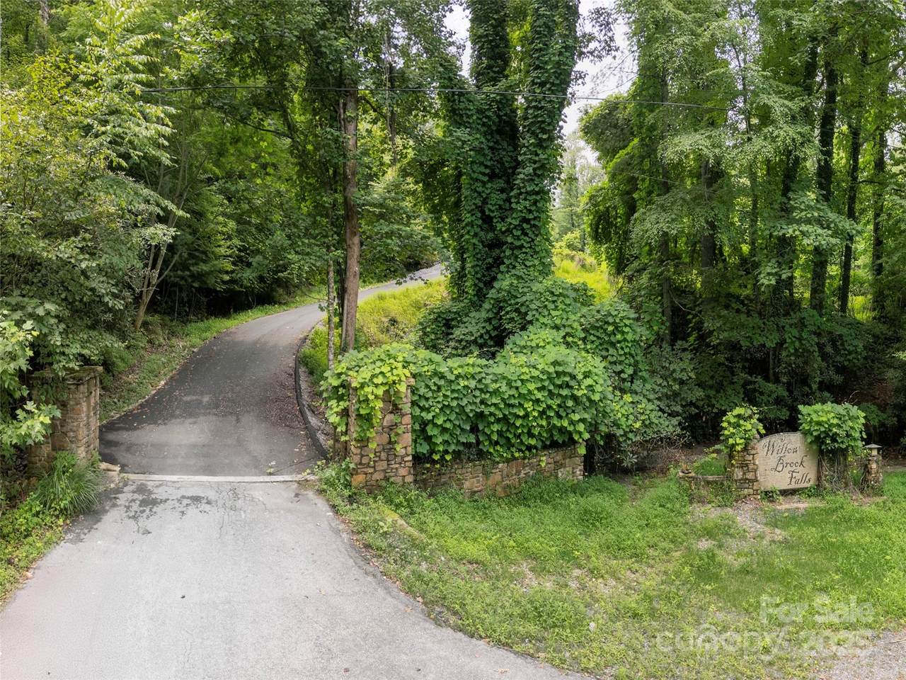 0 Willow Falls Lane - Photo 1