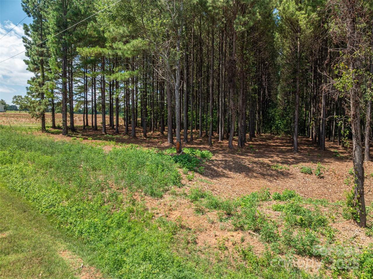 00 Hill Gates Trail - Photo 1