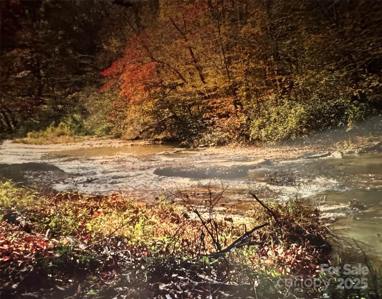 917 Spur Alley - Photo 1