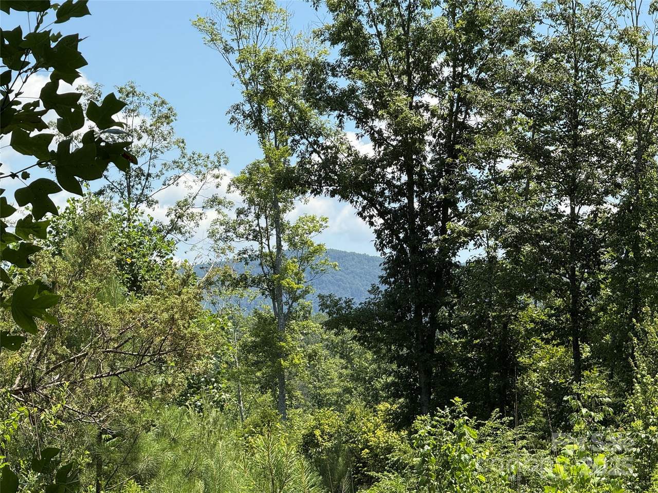 0 Collins Road - Photo 1