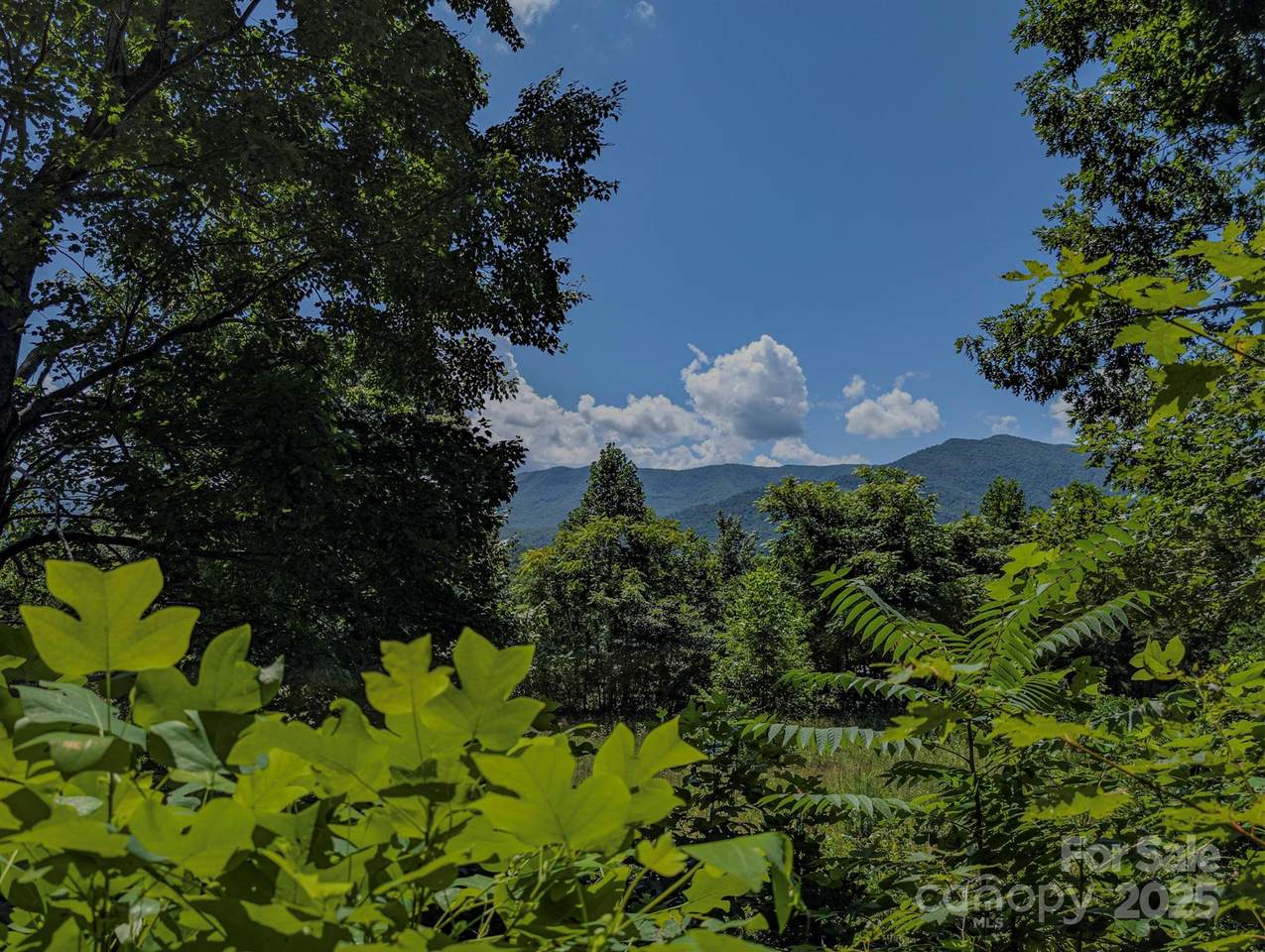 TBD Mystic View Lane - Photo 1