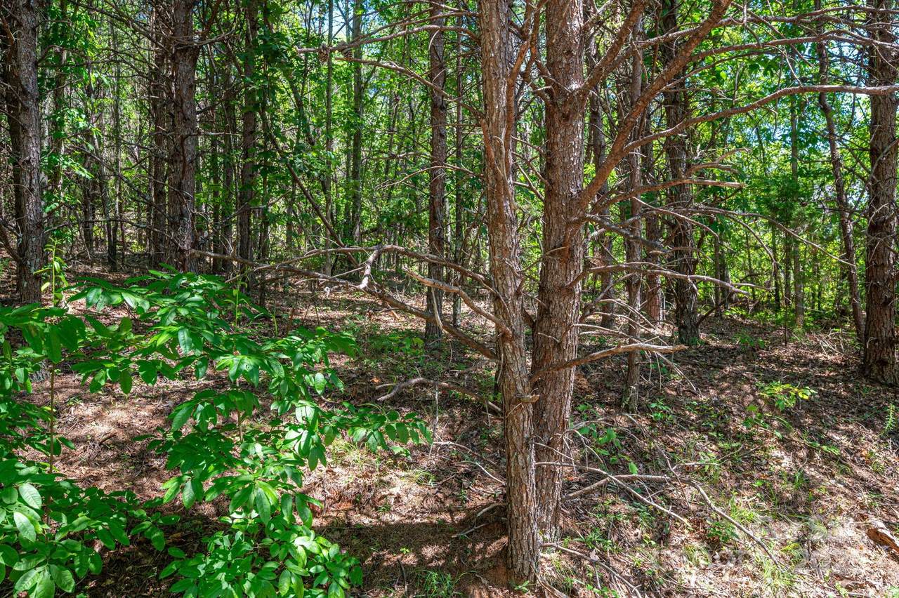 Lot 12 Meadow Crossing Drive - Photo 1