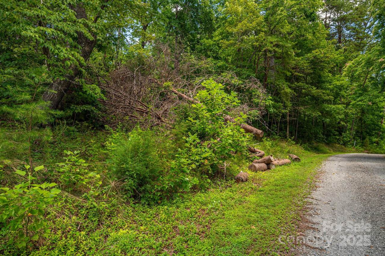 Lot 208 Plantation Drive - Photo 1