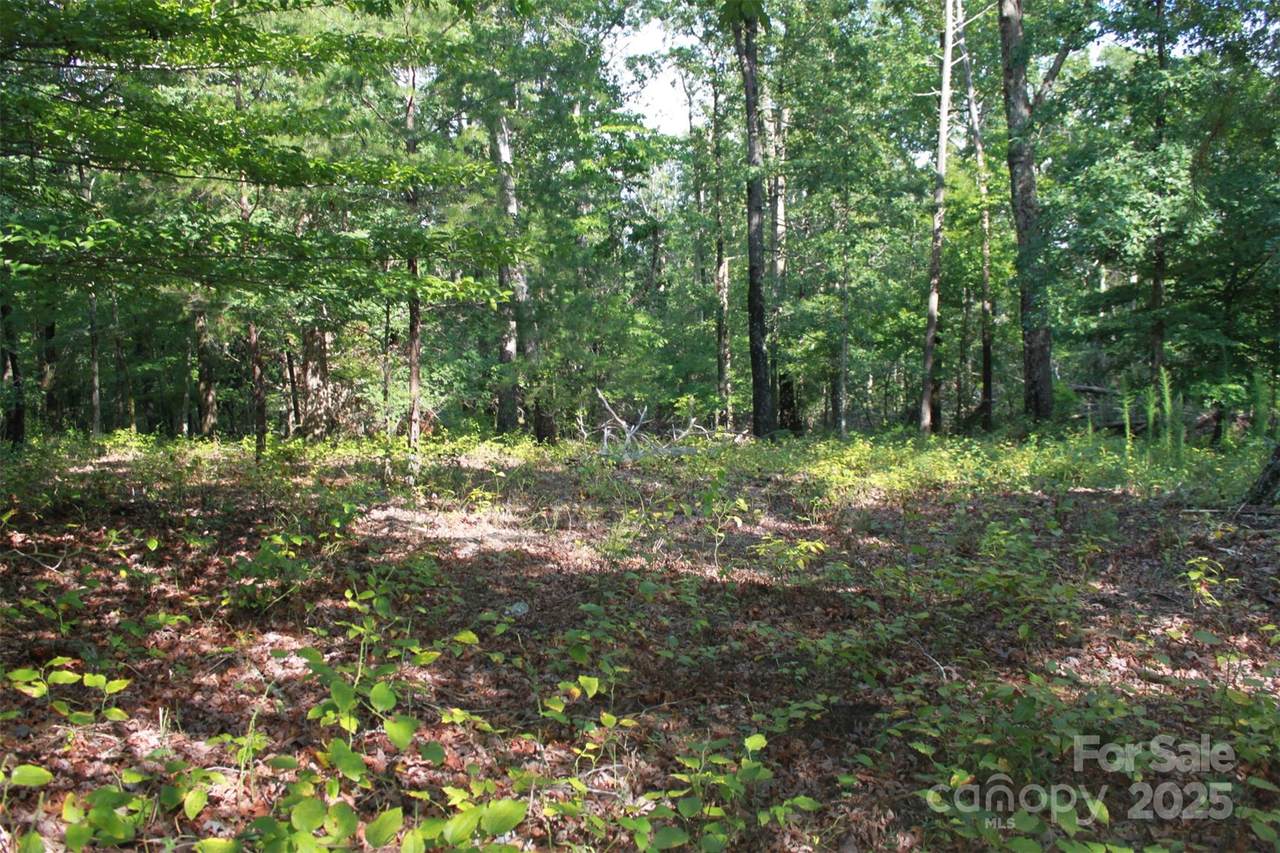 00 Lail Road - Photo 1