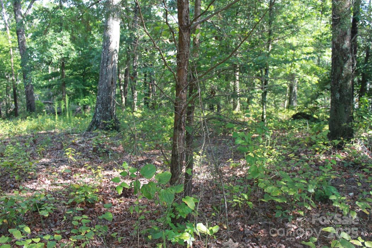 https://bt-photos.global.ssl.fastly.net/cmls/1280_boomver_1_4289211-1.jpg