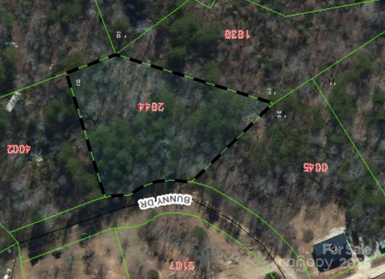 99999 Bunny Drive - Photo 1