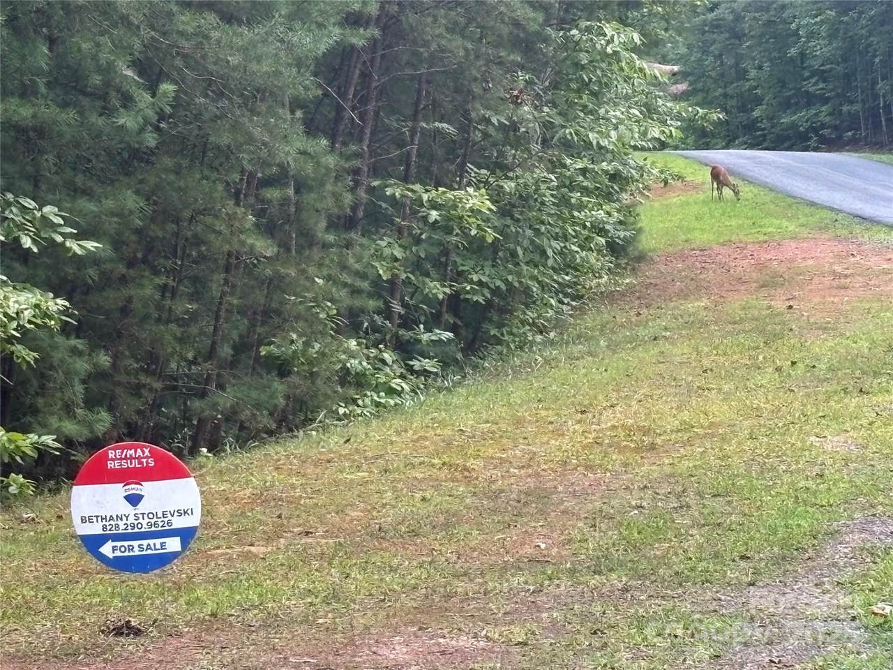 lots 11/12 South Pointe Road - Photo 1