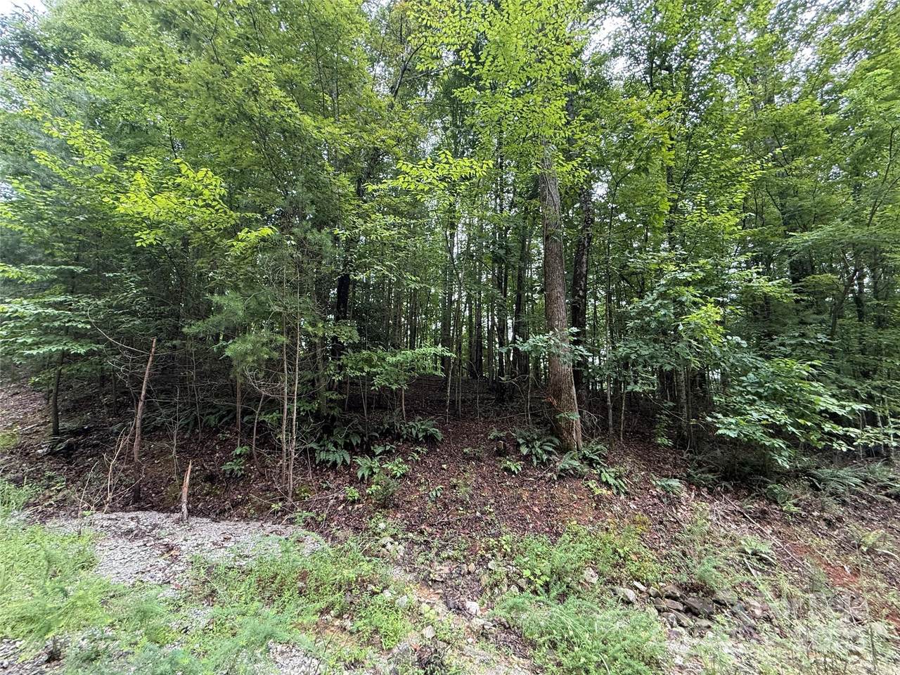 0 Woodchuck Lane - Photo 1