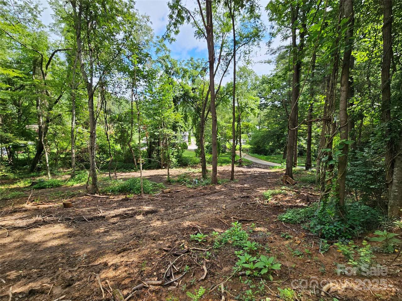 000 Dolan Road - Photo 1