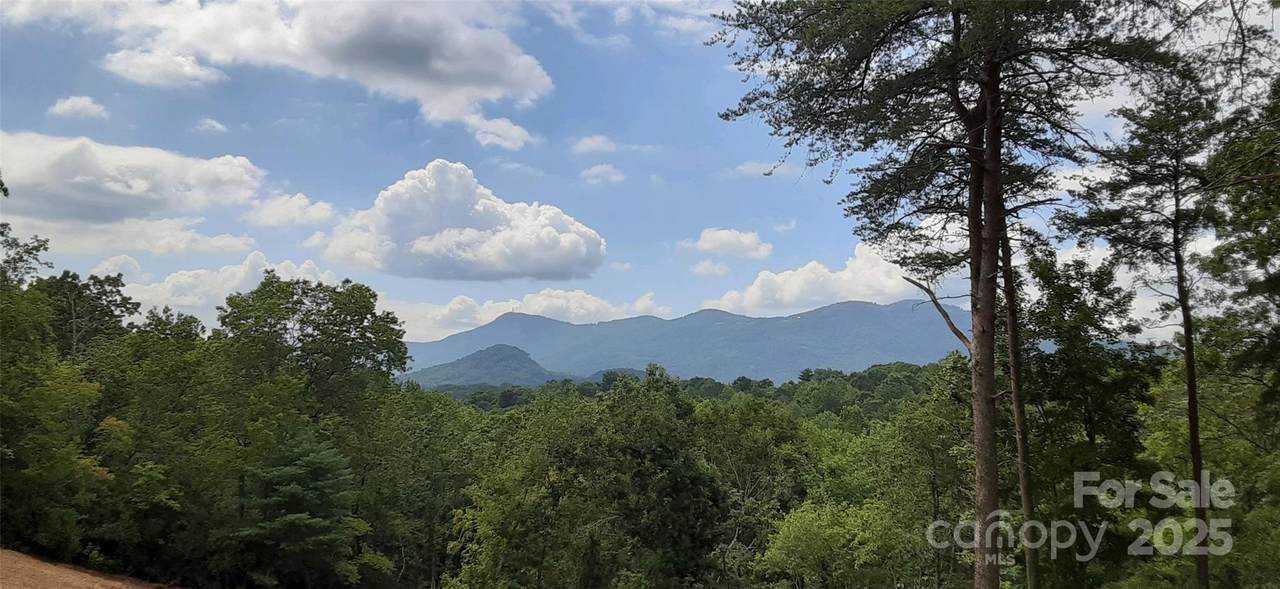 000 Levi Road - Photo 1