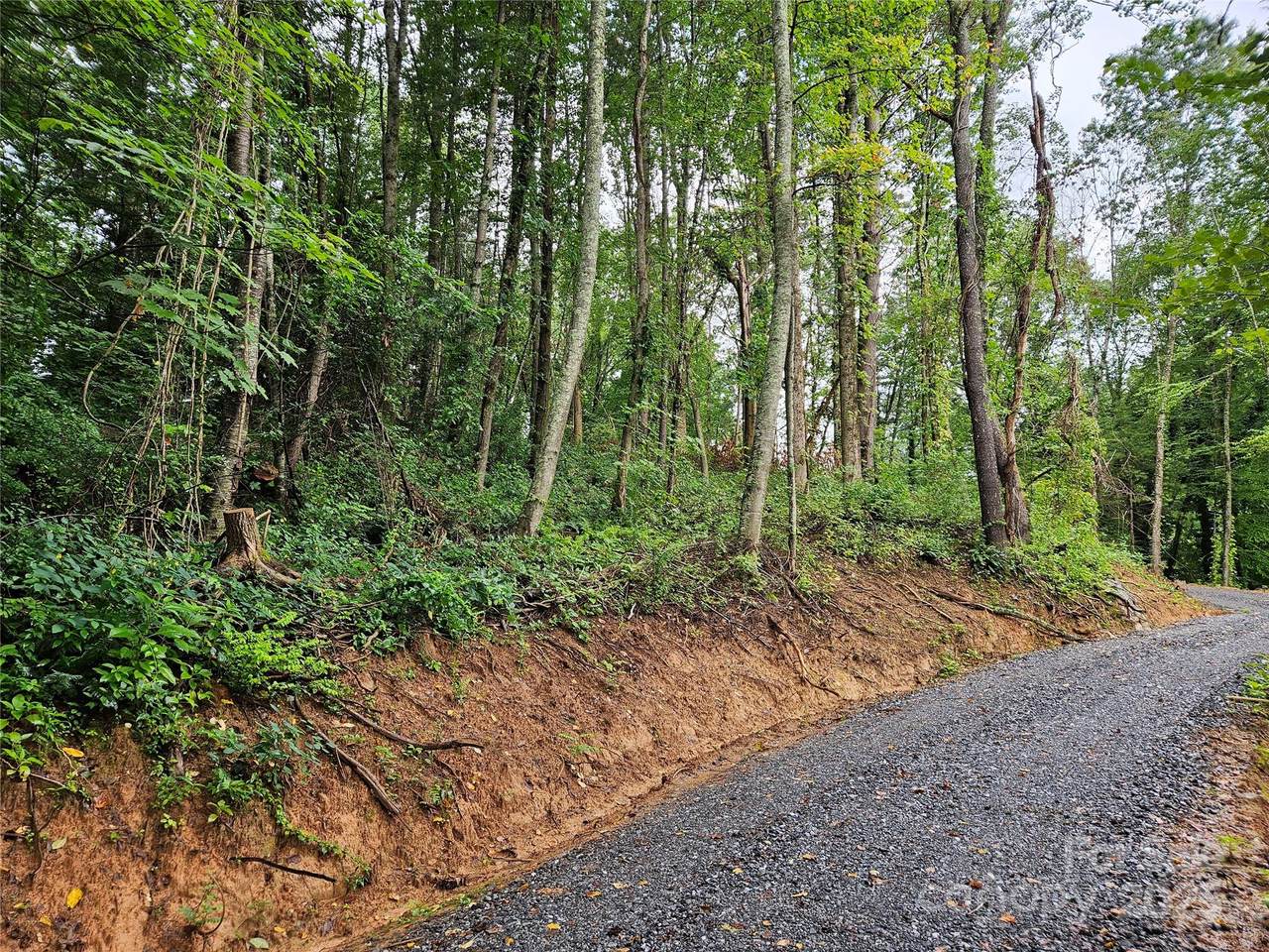 000 Dolan Road - Photo 1