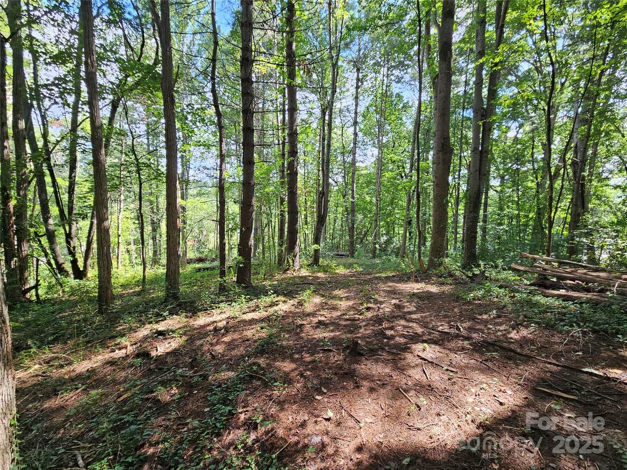 000 Dolan Road - Photo 1