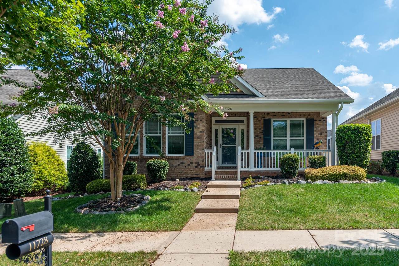 11728 Mount Argus Drive - Photo 1