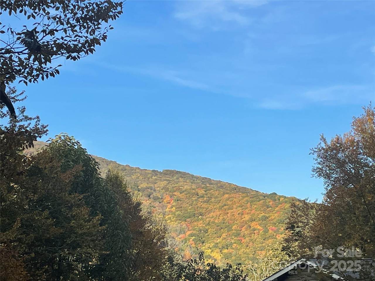 96 Chestnut Lane - Photo 1