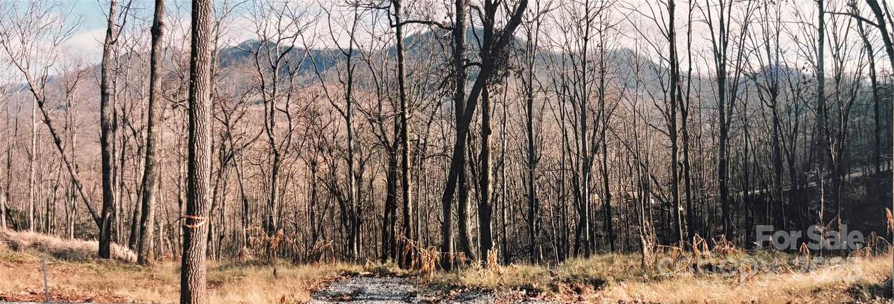 24 Anns Lane - Photo 1