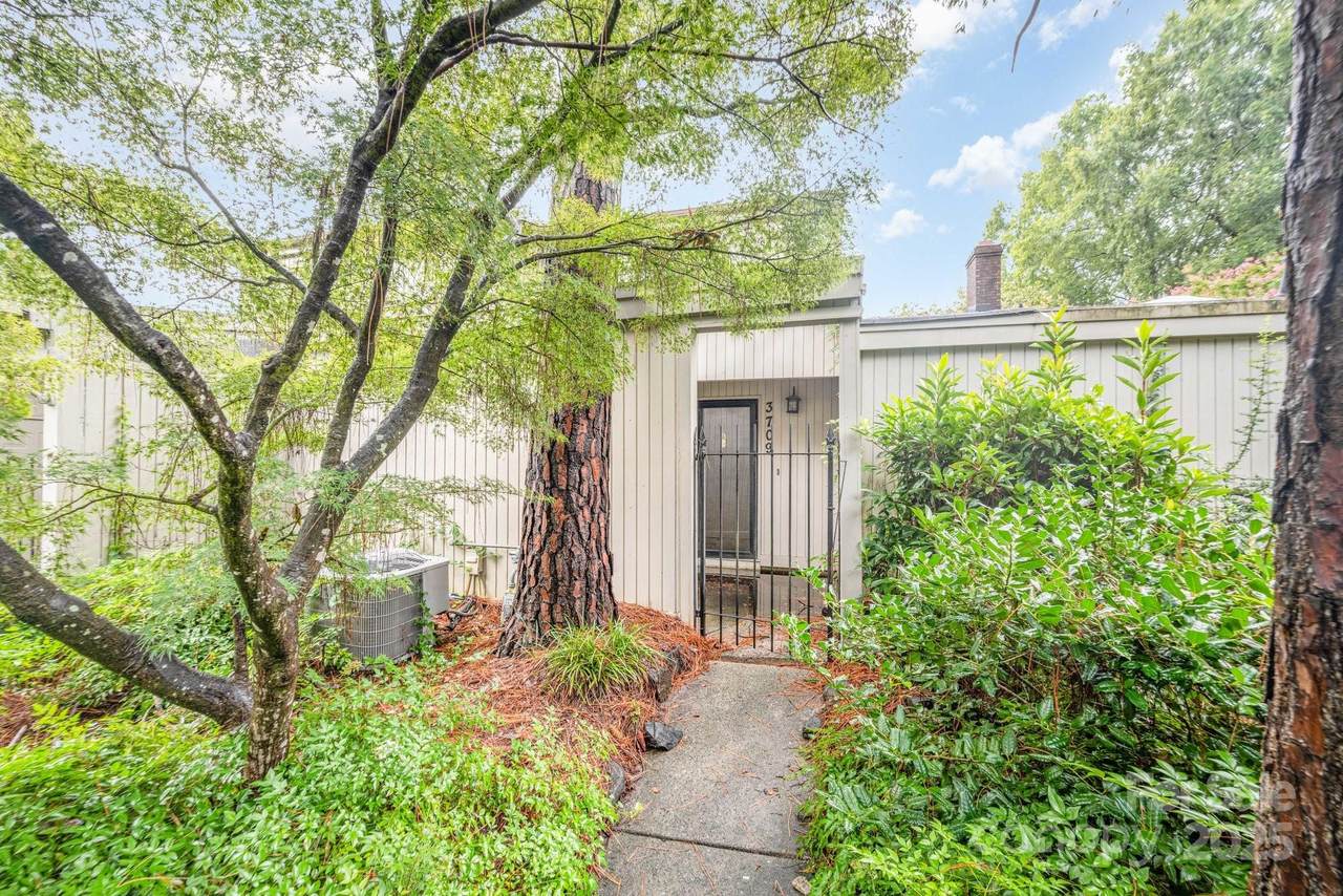 3709 Willow Point Drive - Photo 1