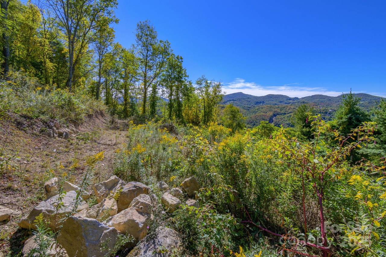 Lot 26 Silver Fox Lane - Photo 1