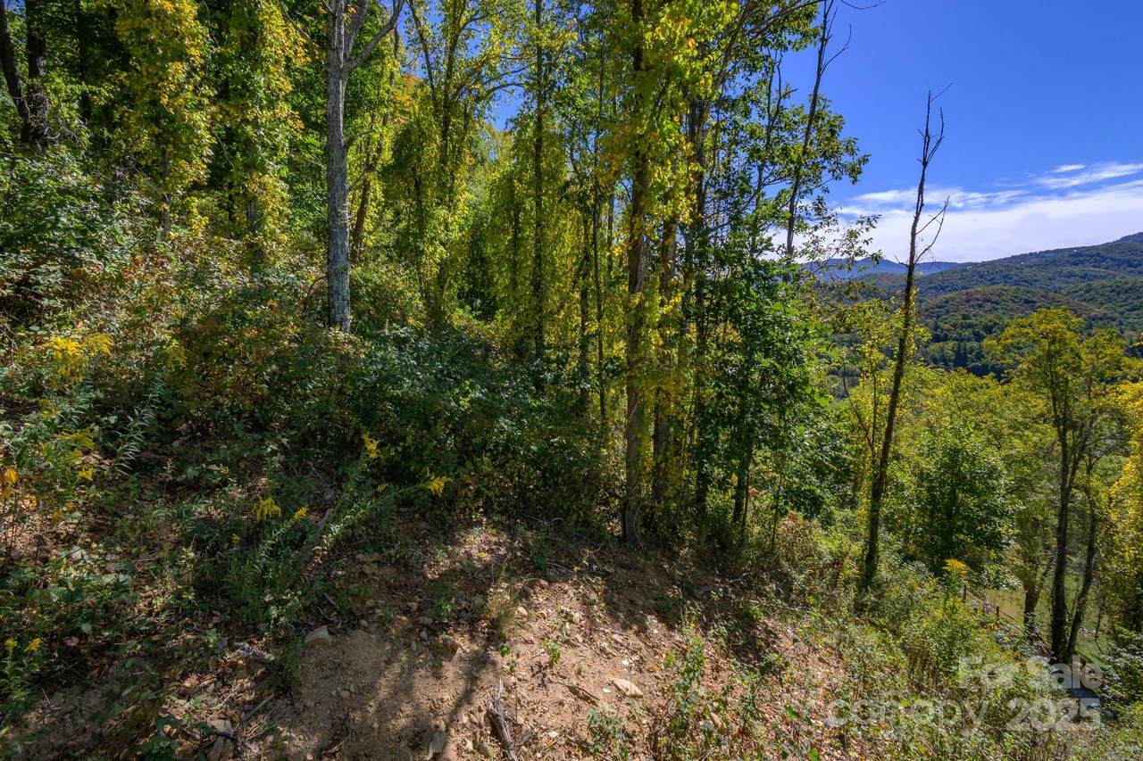 Lot 27 Silver Fox Lane - Photo 1