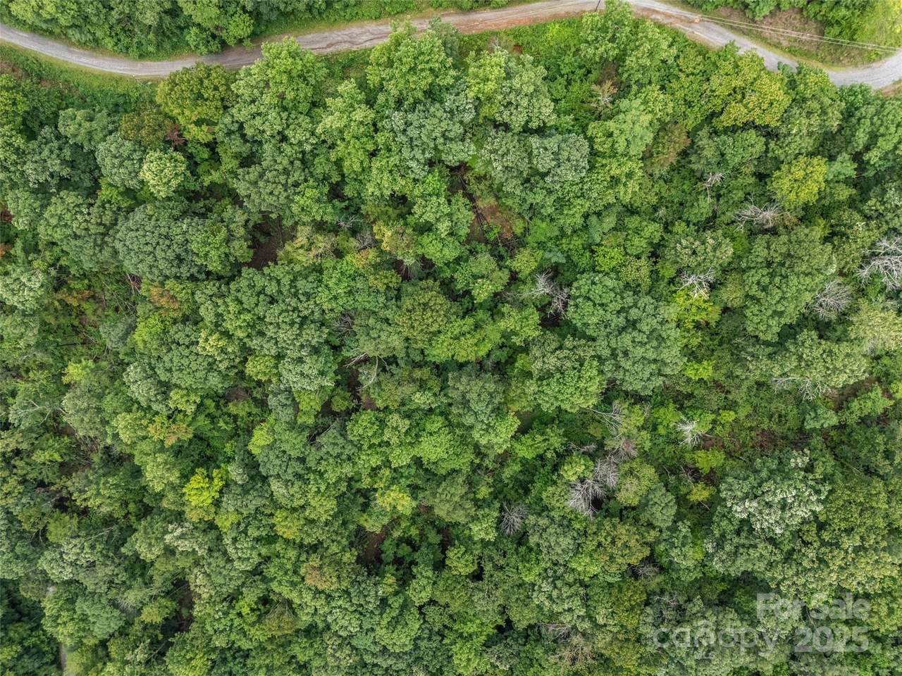 0 Peartree Drive - Photo 1