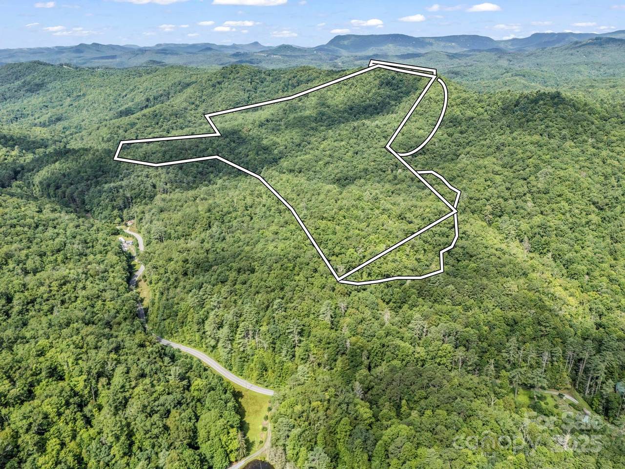 TBD Frozen Creek Road - Photo 1