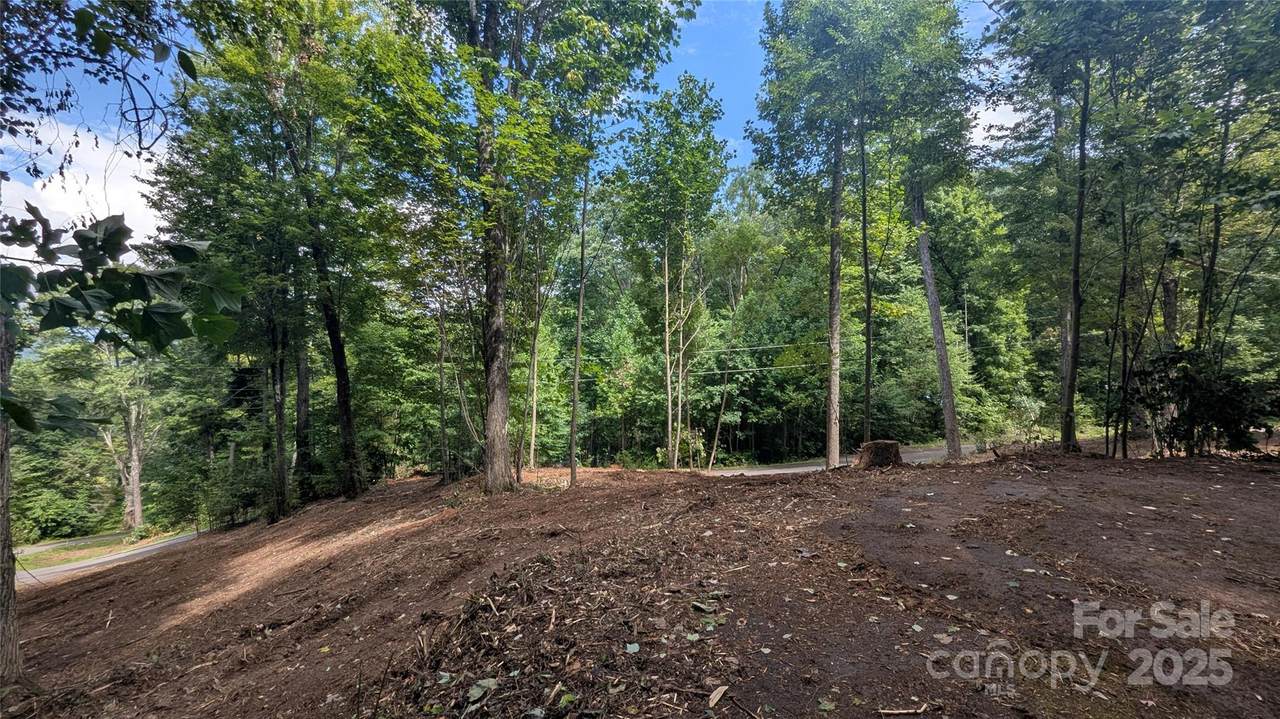 88 Apple Tree Court - Photo 1