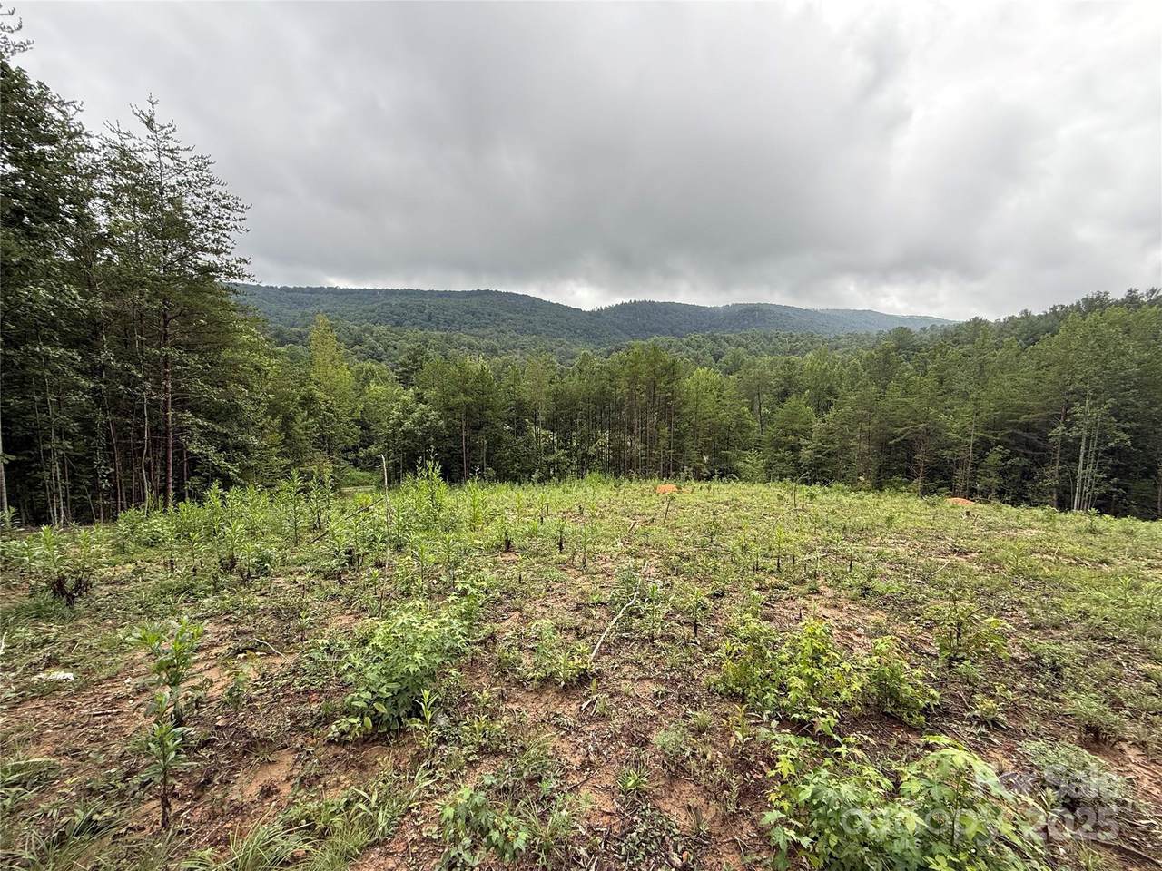 2940 Barlowe Place - Photo 1