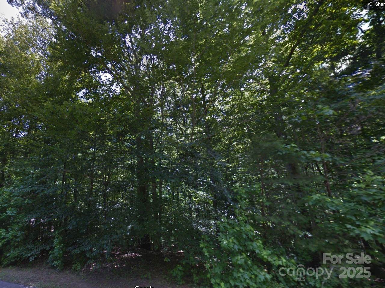 0000 Laurel Lane - Photo 1