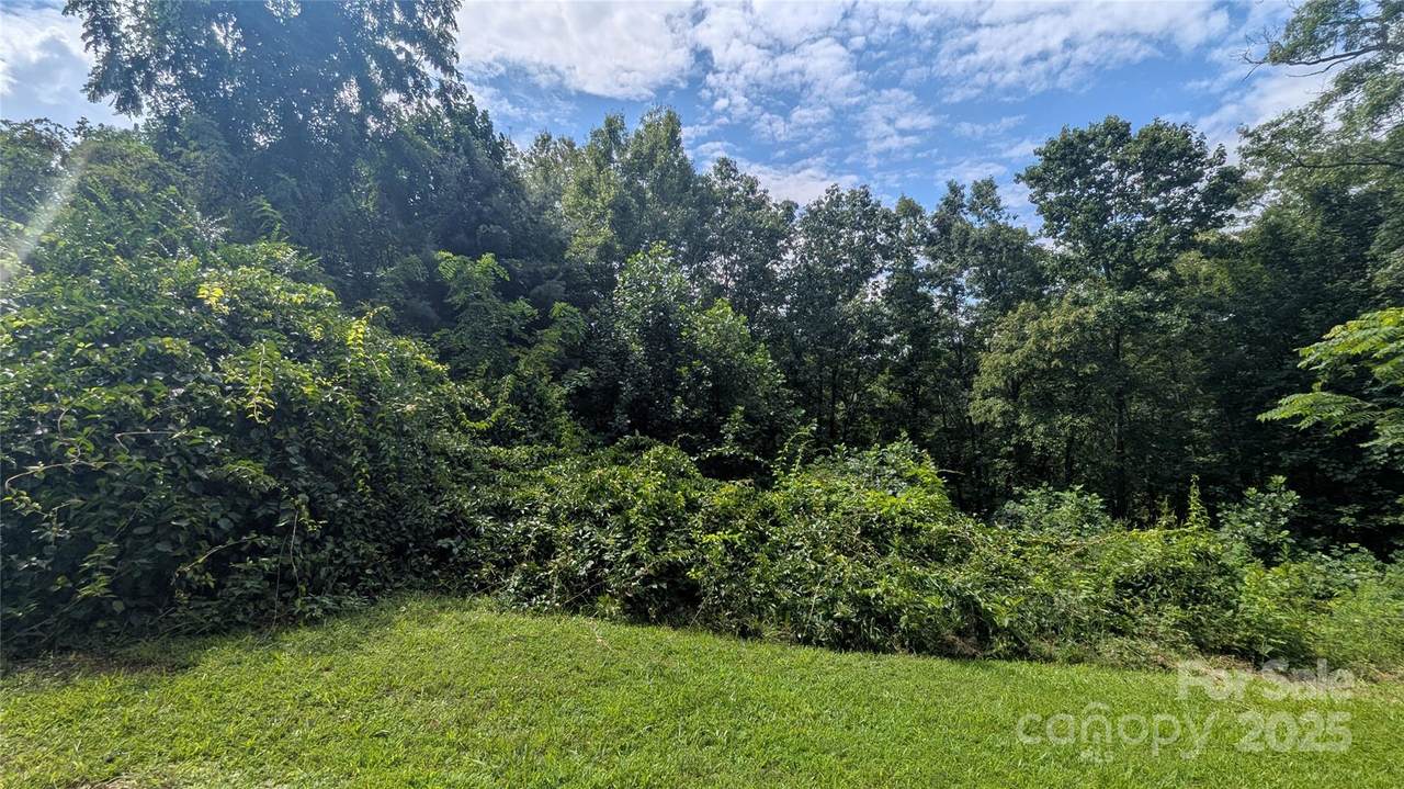 00 Pinewood Drive - Photo 1