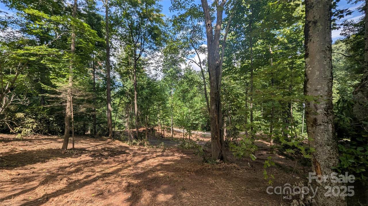 707 Apple Tree Court - Photo 1