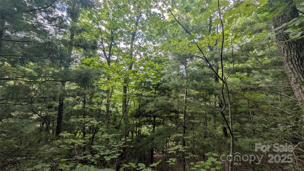 00 Pinewood Drive - Photo 1