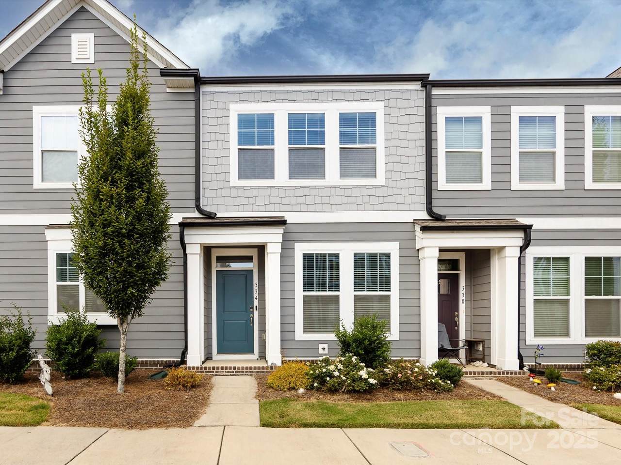 334 Ladybird Lane - Photo 1