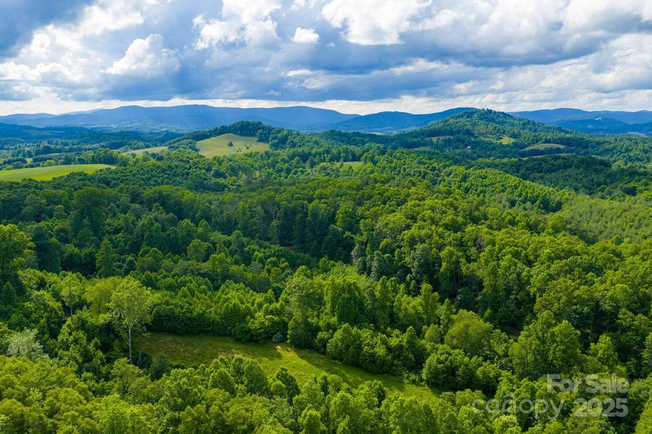 TBD Phipps Dairy Road - Photo 1