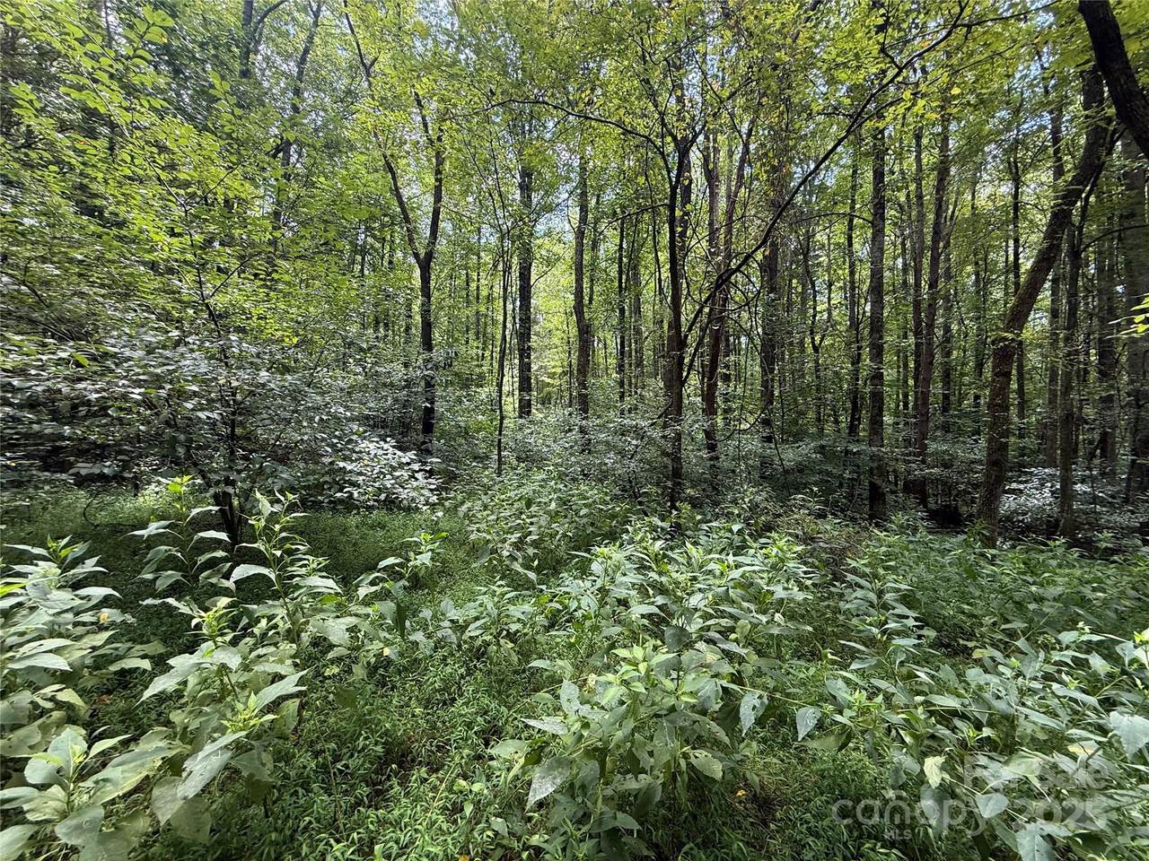 258 New Salem Road - Photo 1