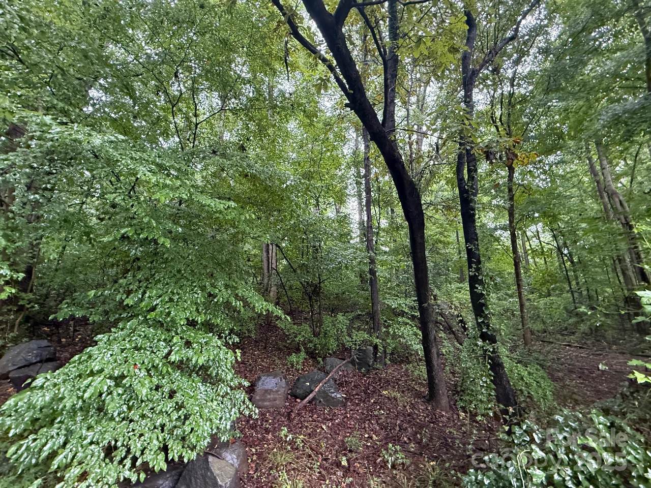 3117 Shirley Drive - Photo 1