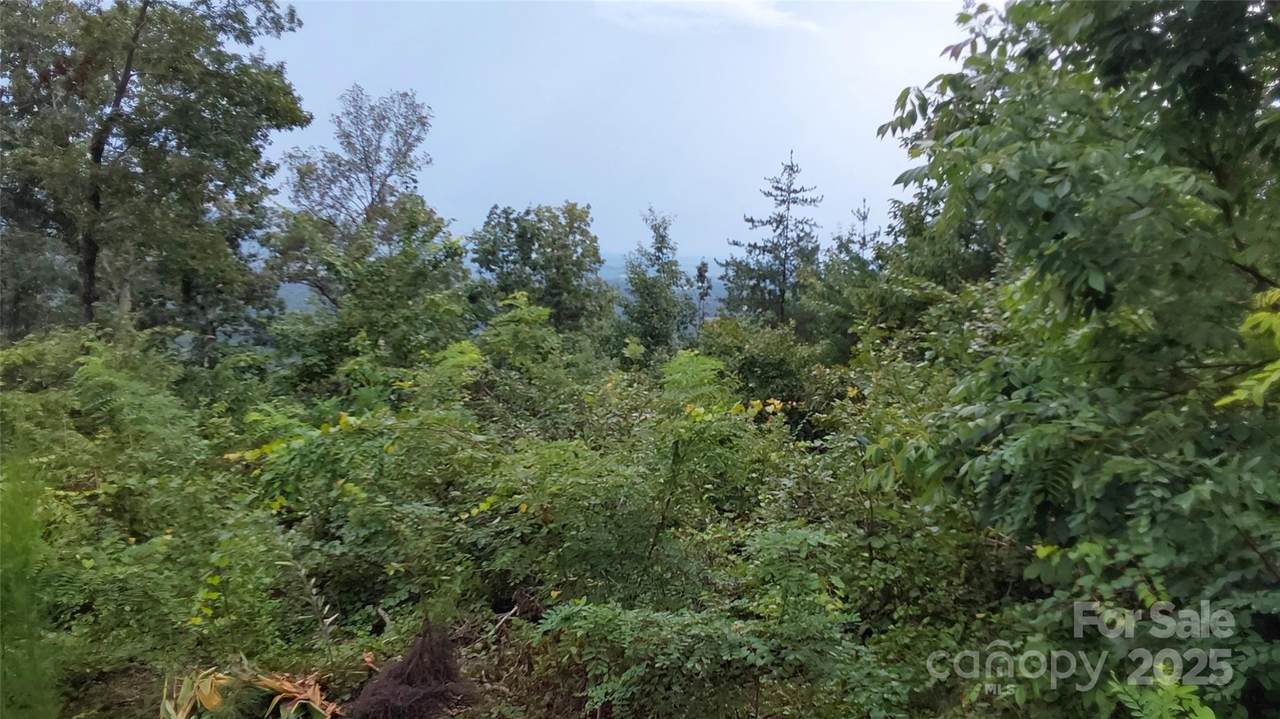 0 Brighton Drive - Photo 1