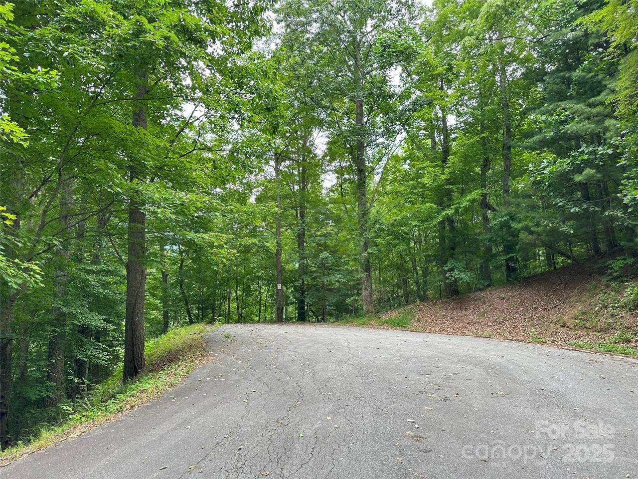 000 Ruffed Grouse Lane - Photo 1