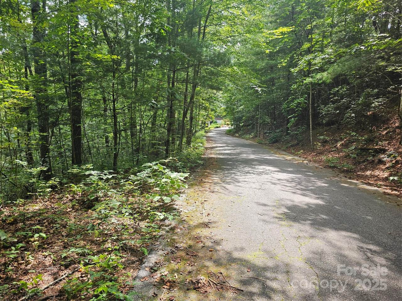 99999 Majestic Trace - Photo 1